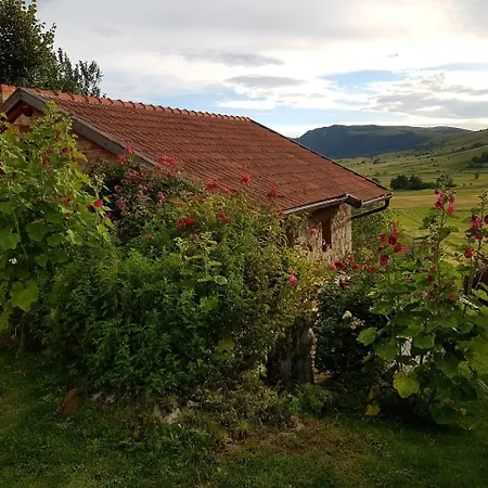 Lodge Kesici Lodge Kesici